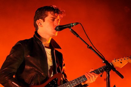 the wombats